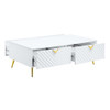 Gaines Coffee Table / LV01139