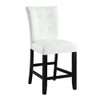 Sandoval Side Chair (Set-2) / DN01495