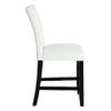 Sandoval Side Chair (Set-2) / DN01495