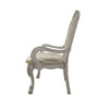 Dresden Arm Chair (Set-2) / DN01697