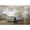 Carine Dresser / 26245