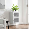 Covelo 33" Accent Cabinet / EEI-6218