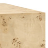 Cosmos 16" Square Burl Wood Side Table / EEI-6273