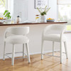 Pinnacle Boucle Upholstered Counter Stool Set of 2 / EEI-6565