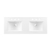 Elysian 48" Wood Double Sink Bathroom Vanity / EEI-6456
