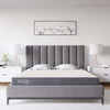 Mila 5" Queen Mattress / MOD-7101