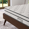 Jenna 6" Innerspring and Foam Queen Mattress / MOD-7095