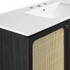 Chaucer 48" Single Sink Bathroom Vanity / EEI-6699