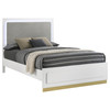 Caraway Wood Eastern King LED Panel Bed White / CS-224771KE