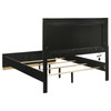 Caraway Wood Queen LED Panel Bed Black / CS-224781Q