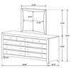 Phoenix 9-drawer Dresser with Mirror Deep Cappuccino / CS-200413M