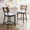 Caledonia Wood Counter Stools - Set of 2 / EEI-6821