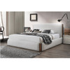 Sandro Queen Bed / BD02470Q