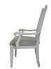 Katia Arm Chair (Set-2) / DN02488