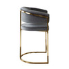 Solstice Counter Height Chair in Grey Velvet w/ Polished Gold Metal Frame / SOLSTICESTGR1PK