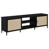 Amherst 2-door 70-inch Metal TV Stand Media Console Black / CS-710034