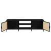 Amherst 2-door 70-inch Metal TV Stand Media Console Black / CS-710034