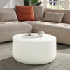 Dustan Coffee Table / LV03780