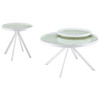 Briggs 2-piece Round Coffee and End Table Set White / CS-706258-S2