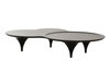Modrest Beulah - Modern Free Form Black Ash Coffee Table / VGOD-LZ-319C-BLK