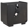 Leandro 2-drawer LED Nightstand with USB Burnished Black / CS-222492