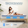 SALVIA 12" Queen Hybrid Pocket Coil Mattress / DM2112-Q