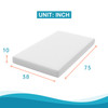 ARTEMISIA 10" Twin XL Memory Foam Mattress (Roll-In-Box) / DM530-TXL