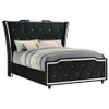 Lorient Queen LED Upholstered Wingback Bed Black / CS-223161Q