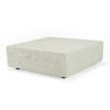 Quarry - Modern Off-White Square Coffee Table / VGVC-CT111