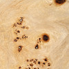 July - Modern Mapa Burl Round Coffee Table / VGOD-LZ-226C-COF