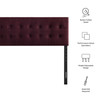 Emily Stain-Resistant Performance Velvet Queen Size Headboard by Modway / MOD-7284
