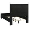 Ravenne Velvet Upholstered Queen LED Panel Bed Black / CS-223191Q