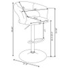 Barraza 29-inch Adjustable Height Bar Stool White and Chrome / CS-120347