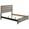 Watson Wood Queen Panel Bed Light Taupe / CS-215911Q