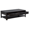 Marcelo Wood Coffee Table with 2 Drawers and Shelf Coffee / CS-736068