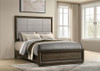 Atlas 63-inch Queen Upholstered Panel Bed Grey and Dark Oak / CS-215971Q