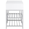 Siega 1-Drawer Shoe Storage Entryway Bench White High Gloss and Chrome / CS-910223