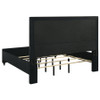 Ravenne 5-piece Velvet Upholstered Eastern King LED Bedroom Set Black / CS-223191KE-S5