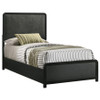 Cavelle 51-inch Upholstered Twin Panel Bed Black / CS-223661T