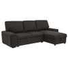 Demko Sleeper Sectional Sofa with Speaker and Storage Chaise Brown / CS-500356
