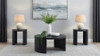 Sweeney 3-piece Coffee and End Occasional Table Set Black / CS-722828-S3