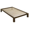 Gislen Twin Easy Assembly Wood Platform Bed Walnut / CS-316028WALT