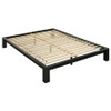 Gislen Full Easy Assembly Wood Platform Bed Black / CS-316028BLKF