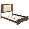 Etienne Queen Velvet Upholstered Panel Bed Walnut / CS-225121Q