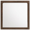 Etienne Rectangular Dresser Mirror Walnut / CS-225124