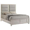 Farre Queen Upholstered Platform Panel Bed Washed Grey / CS-225111Q