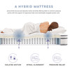Jenna 12" Innerspring and Foam California King Mattress by Modway / MOD-7091