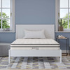 Jenna 6" Innerspring and Foam Full Mattress by Modway / MOD-7094