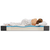 Aveline 8" Twin XL Mattress by Modway / MOD-7107