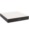 Aveline 12" California King Mattress by Modway / MOD-7108